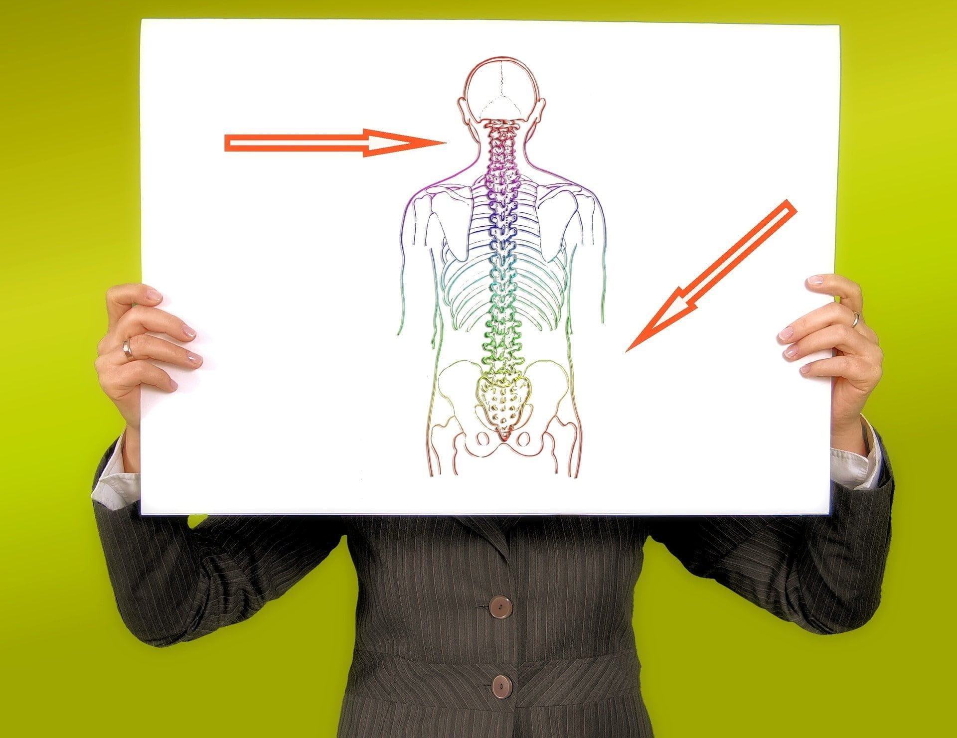 spine diagram of person holding